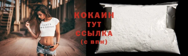 сатива Абдулино