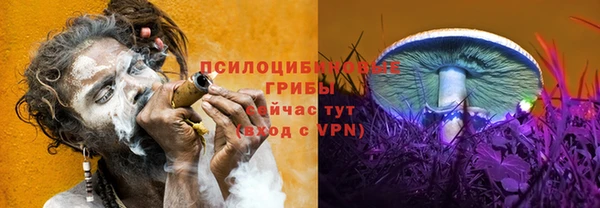 сатива Абдулино