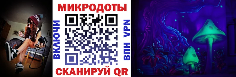 площадка как зайти  хочу   Ува  Псилоцибиновые грибы Psilocybine cubensis 